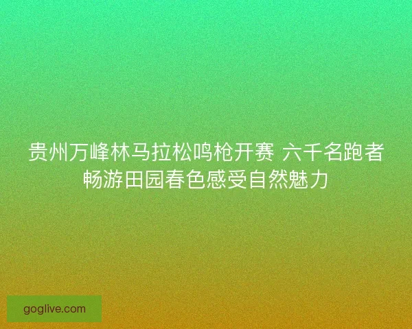 贵州万峰林马拉松鸣枪开赛 六千名跑者畅游田园春色感受自然魅力